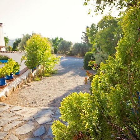 Cuevas De Rolando Guest House Guadix Luaran gambar